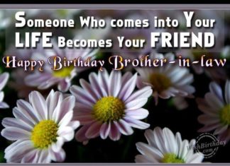 Happy Birthday Brother : Happy Birthday Brother : happy birthday brother in law meme – Google Search ask…