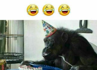 Happy Birthday Brother : Happy birthday Ziya and Aqsa 😁😝😂😝