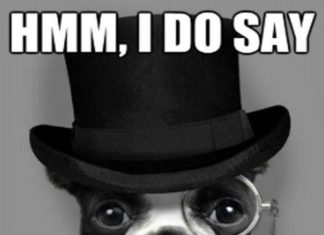 Happy Birthday Brother : Happy birthday memes