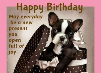 Happy Birthday Brother : Happy birthday terrier dog