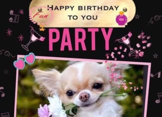 Happy Birthday Brother : Happy birthday to Tiny! December 27th. Beautiful girl, you will find your foreve…