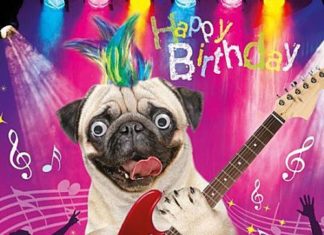 Happy Birthday Brother : Image result for holiday pug cards