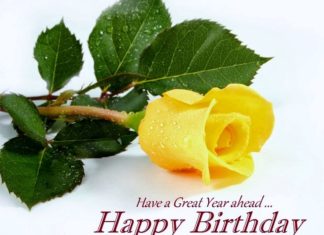 Happy Birthday Brother : hb