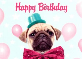 Happy Birthday Brother : £2.29 GBP – Pug Dog Happy Birthday Greeting Card Fun Tracks Greetings Cards #eb…