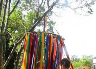 Birthday Decoration : (notitle)