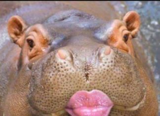 Birthday Quotes : (notitle)