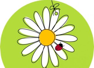 Birthday Inspiration: (notitle)