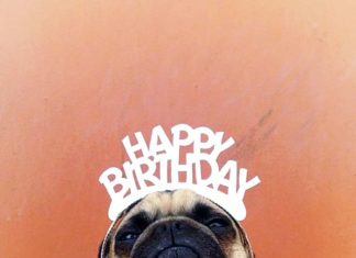 Birthday Inspiration: (notitle)