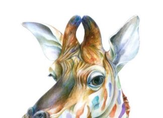 Birthday Quotes : (notitle)