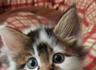 Birthday Quotes : (notitle)