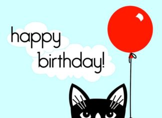 Birthday Inspiration: (notitle)