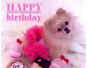 Birthday Quotes : (notitle)