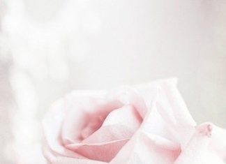 Birthday Inspiration: (notitle)