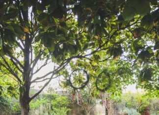 Birthday Decoration : Editorial Enchanted Dreams – “Wonderland Tea Party” – Once Upon a Time…