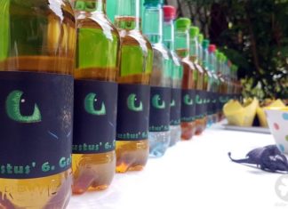 Birthday Inspiration: 9 kleine Drachenreiter in unserem Garten.