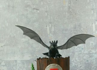 Birthday Inspiration: How to train your Dragon