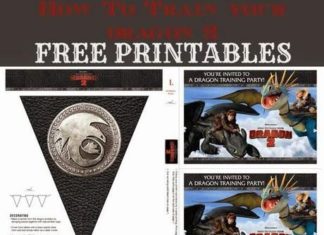 Birthday Inspiration: REVIEW: How To Train Your Dragon 2 and FREE Printables