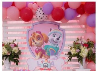 Birthday Party : Paw Patrol Birthday Party for Girls
