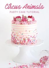 Birthday Decoration : (notitle)