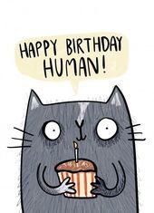 Birthday Quotes : (notitle)