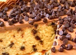 Birthday Cake : Chocolate Chip Cake Recipe