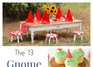 Birthday Party : The 13 Gnomes You Need to Hygge This Season