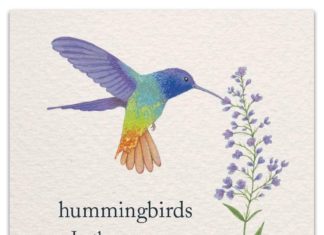 + 112 happy birthday wishes : Hummingbirds Birthday Card