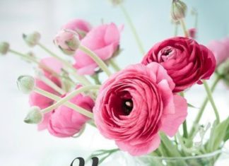 + 112 happy birthday wishes : colorful birthday party