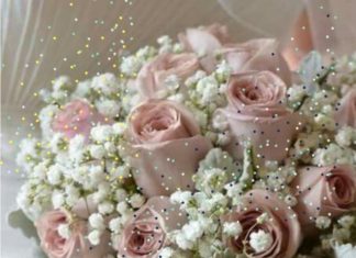 + 112 happy birthday wishes : 💐🌷💖