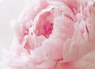 + 112 happy birthday wishes : Happy Birthday Sister-In-Law | Birthday Wishes For Sister-In-Law