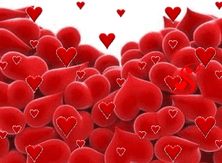 + 112 happy birthday wishes : J’AI ENVIE DE TE DIRE QUE JE T’AIME…À TOI…À TOI…À TOI…À VOUS…À TOUS !! Grace pour Myriamir..💕