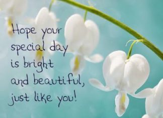 + 112 happy birthday wishes : Romantic Happy Birthday Wishes for Wife with Images and Quotes – Fashion Cluba