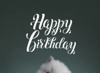 + 112 happy birthday wishes : The Best Birthday Wishes to Make Someone’s Birthday Special