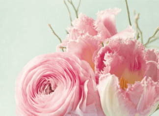 + 112 happy birthday wishes : Wishing You a Happy Life – Happy Birthday Wishes Card | Birthday & Greeting Cards by Davia