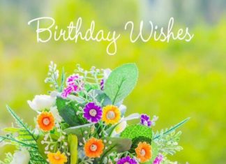 + 112 happy birthday wishes : shopkin birthday