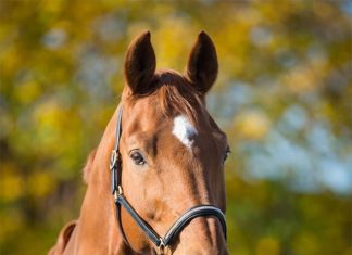 + 112 happy birthday wishes :