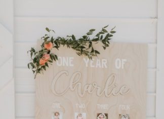 + 74 birthday party decorations : Charlotte’s 1st Peachy Party – Whiskey and Lace by Erika Altes