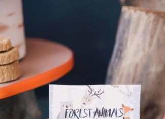 + 74 birthday party decorations : Woodland Birthday Party | Kara’s Party Ideas