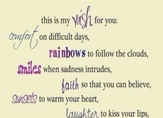 + 112 happy birthday wishes : Womens Tall Black Pu Collarless Jacket