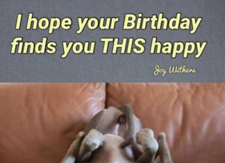 + 112 happy birthday wishes : 50 Funny Happy Birthday Quotes & Wishes For Best Friends