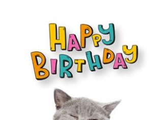 + 112 happy birthday wishes : Funny Happy Birthday Images | Smile, it’s your Birthday!