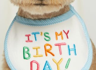 + 112 happy birthday wishes : IT’S MY BIRTHDAY BIB / BLUE – S