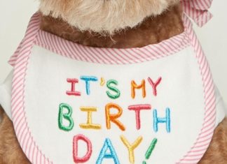 + 112 happy birthday wishes : IT’S MY BIRTHDAY BIB / PINK – M