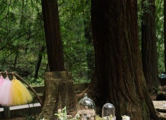 + 74 birthday party decorations : Fun Birthday For Girls: Enchanted Forest Tea Party