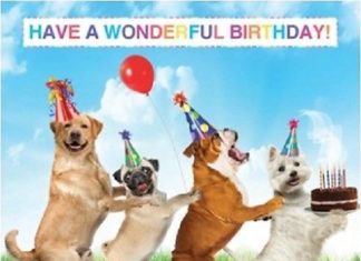 + 112 happy birthday wishes : Dog Lovers Luxury Glitter Birthday Greeting Card Pug Bulldog Westie Retriever