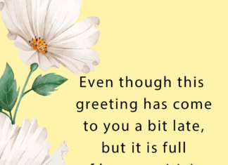 + 112 happy birthday wishes : Sorry, I’m Late – Happy Belated Birthday Cards