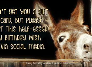 + 112 happy birthday wishes : The Ultimate, No-Holds-Barred List of Funny Birthday Wishes