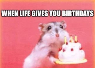 + 112 happy birthday wishes : Top 100++ Original and Funny Happy Birthday Memes