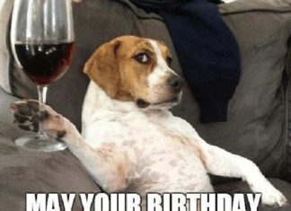 + 112 happy birthday wishes : 30 Happy Birthday Wine Memes To Help You Celebrate | SayingImages.com