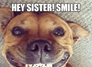 + 112 happy birthday wishes : 91 Happy Birthday Sister Memes for Your Sibling That Is Also a Friend